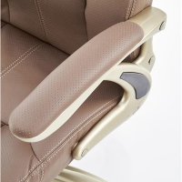 HLCAR brown gold.jpg