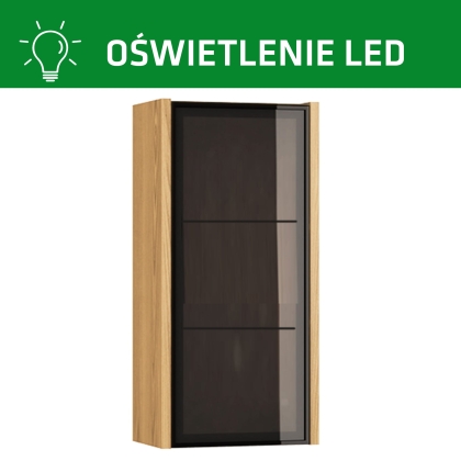 LED do Witryna z czarnym szkłem into elegance 4.jpg