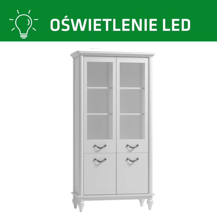 GISELLE 10 witryna LED.jpg
