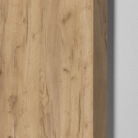 Front_szafy_modułowej_AGATA_37,5x210_cm_dąb_craft_-_wąski_(M)_(2)_KOD_AGATA-FSW-DCRZ.webp