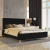 Wezgłowie_tapicerowane_FLEXI_8_do_łóżka_modułowego_80x200_cm_zagłówek_czarny_(1)_KOD_FURZAG00670-NAOMI-riviera_100.webp