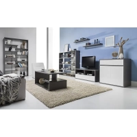 Szafka RTV ASHEN 47cm popiel/biały połysk