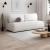 dalia_1.webp