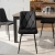 ROBIN_2.webp